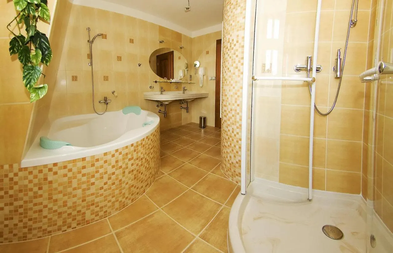 Hotel Ruze Karlovy Vary